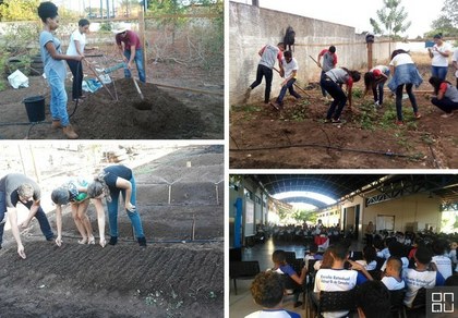 Horta Agroecologica na Escola Ensino e Prática