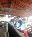 Visita técnica