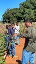 Aula Prática de Manejo de Sistemas Agrícolas