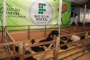 IFTO presente na exposição agropecuária de Paraíso do Tocantins